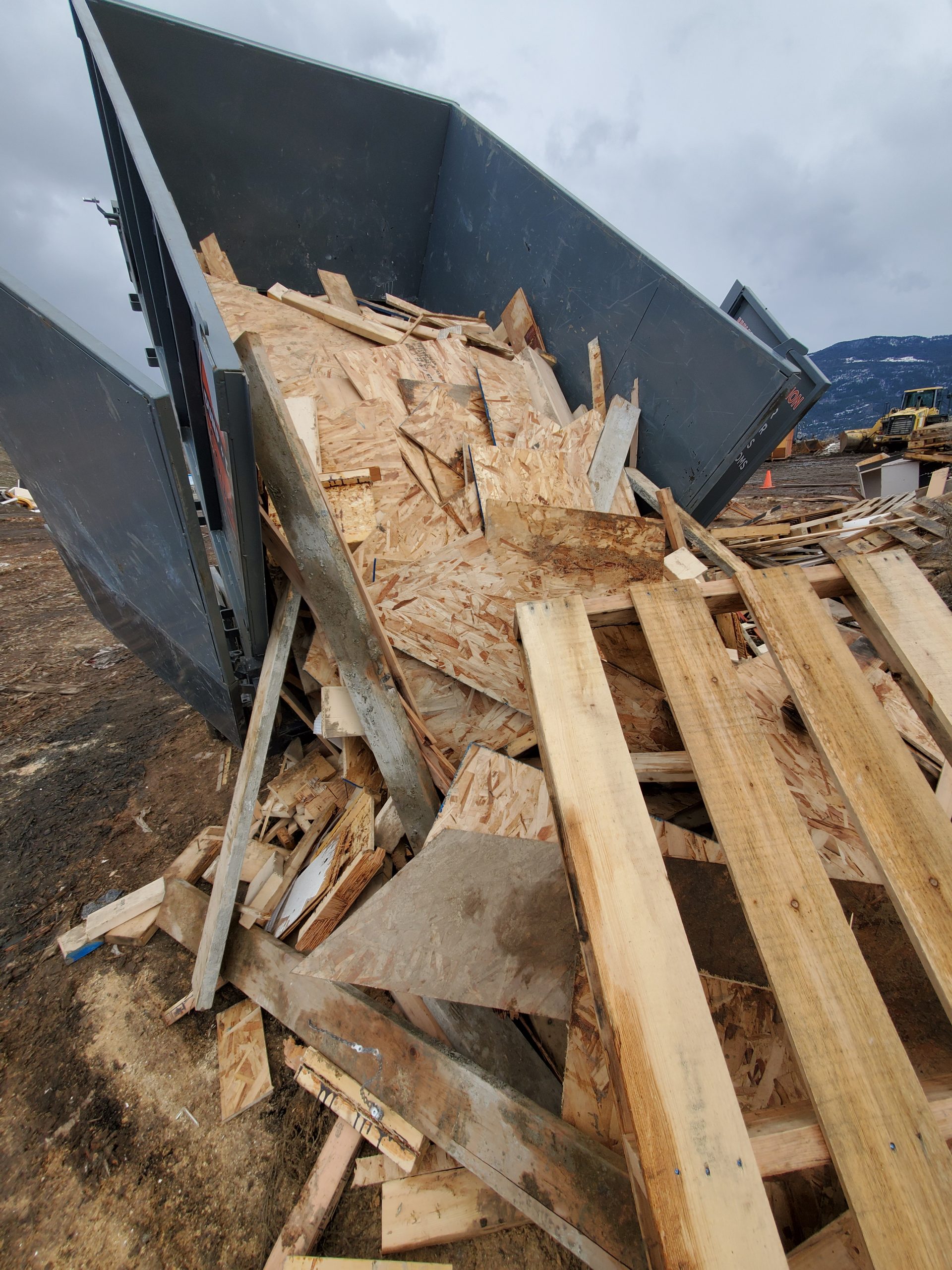 Big Country Dump Big Country Dump & Demo excavator on site Demo job site